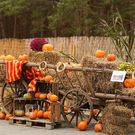 Golden & Курортный комплекс