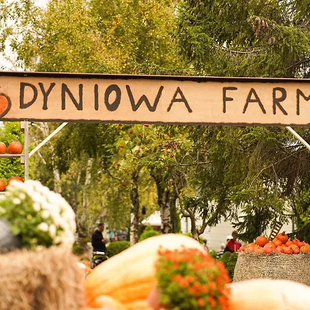 Resort Golden & Łazy