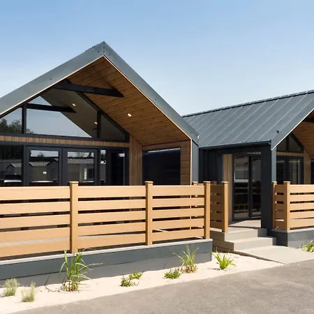 Golden & 3* Лазы