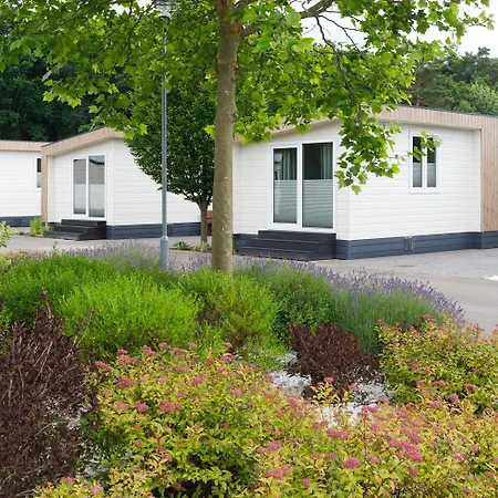 Курортный комплекс Golden &