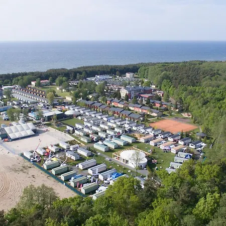 Golden & 3* Лазы