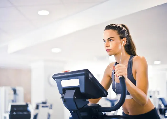 Golden & 3* Lazy (West Pomeranian)