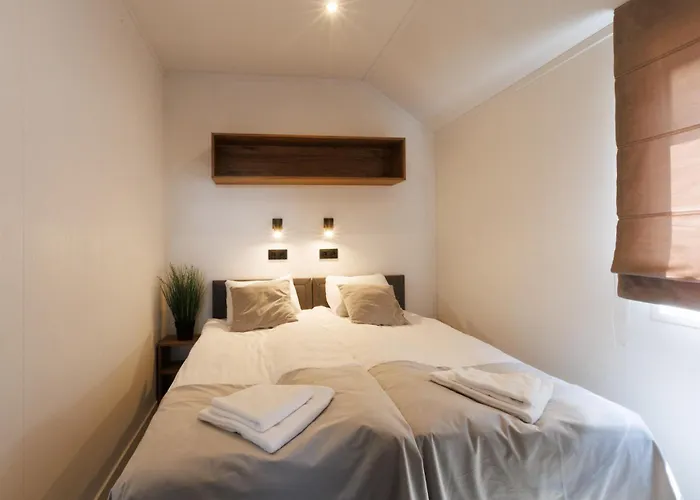 Golden & Resort Lazy (West Pomeranian)