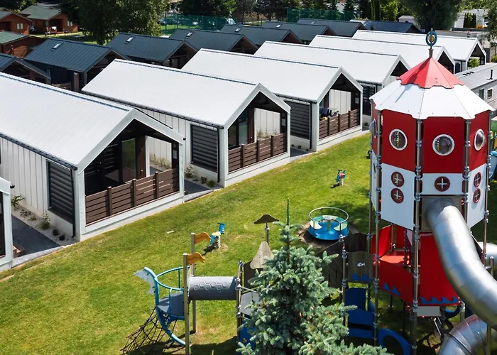 Golden & Lazy (West Pomeranian)