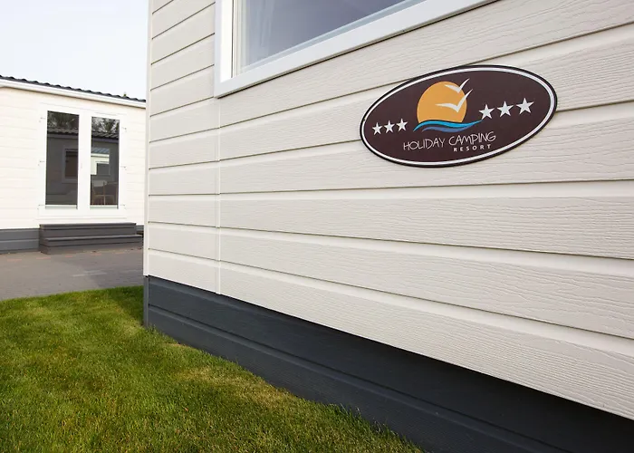 Golden & Lazy (West Pomeranian)