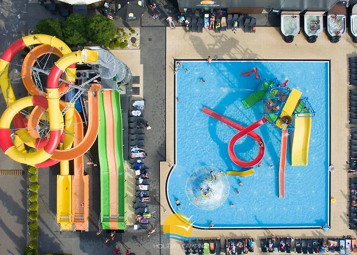 Golden & Lazy (West Pomeranian)