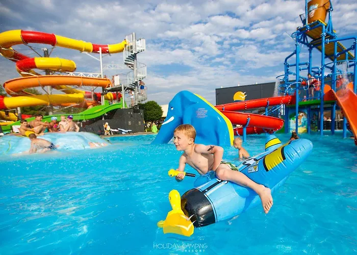 Golden & Lazy (West Pomeranian)