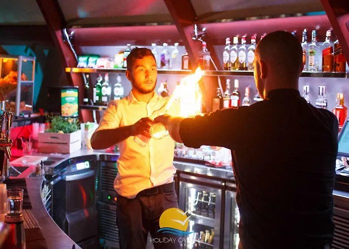 Golden & Lazy (West Pomeranian)