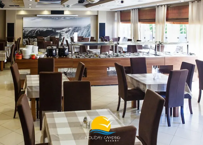 Golden & 3* Lazy (West Pomeranian)